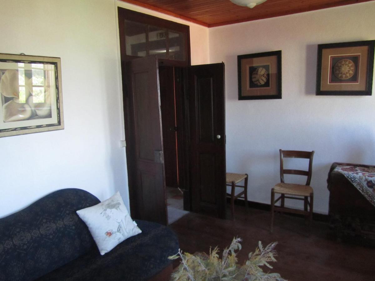 Casa Amarela Apartment Sao Pedro de Tomar Exterior photo